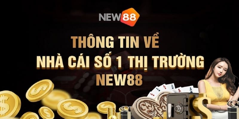 câu hỏi về nhà cái New88